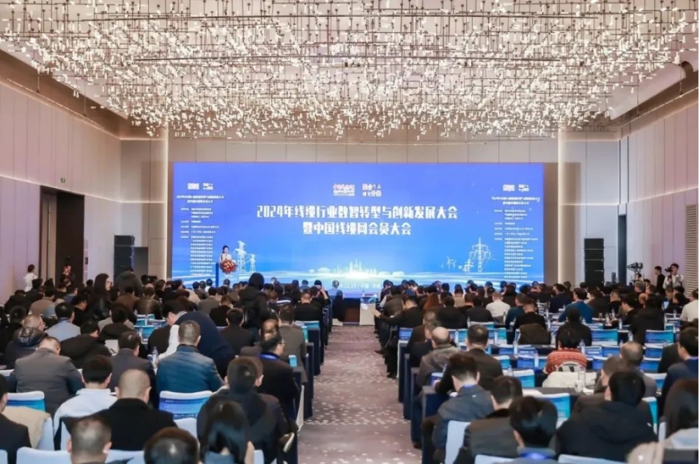 hy3380cc海洋之神股份荣获“2024年度中国线缆行业领军品牌企业”